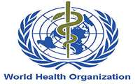 Meeting of the Mental Health Collaborating Center Held to Review Project Progress and Annual Reporting