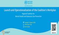 All-Members Meeting to Launch the Coalition’s Workplan and Thematic Activities